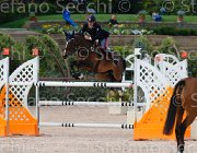 COATA L QUITE ItaAss2013- S5 1376 : COATA LUCA, Campionati Italiani 2013, Cattolica, Horse Riviera Resort, QUITE BEAUTY, foto di Stefano Secchi ©